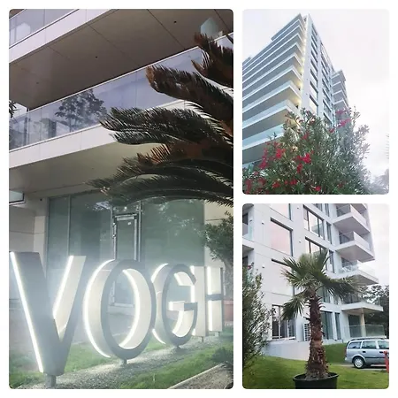 Vogh *